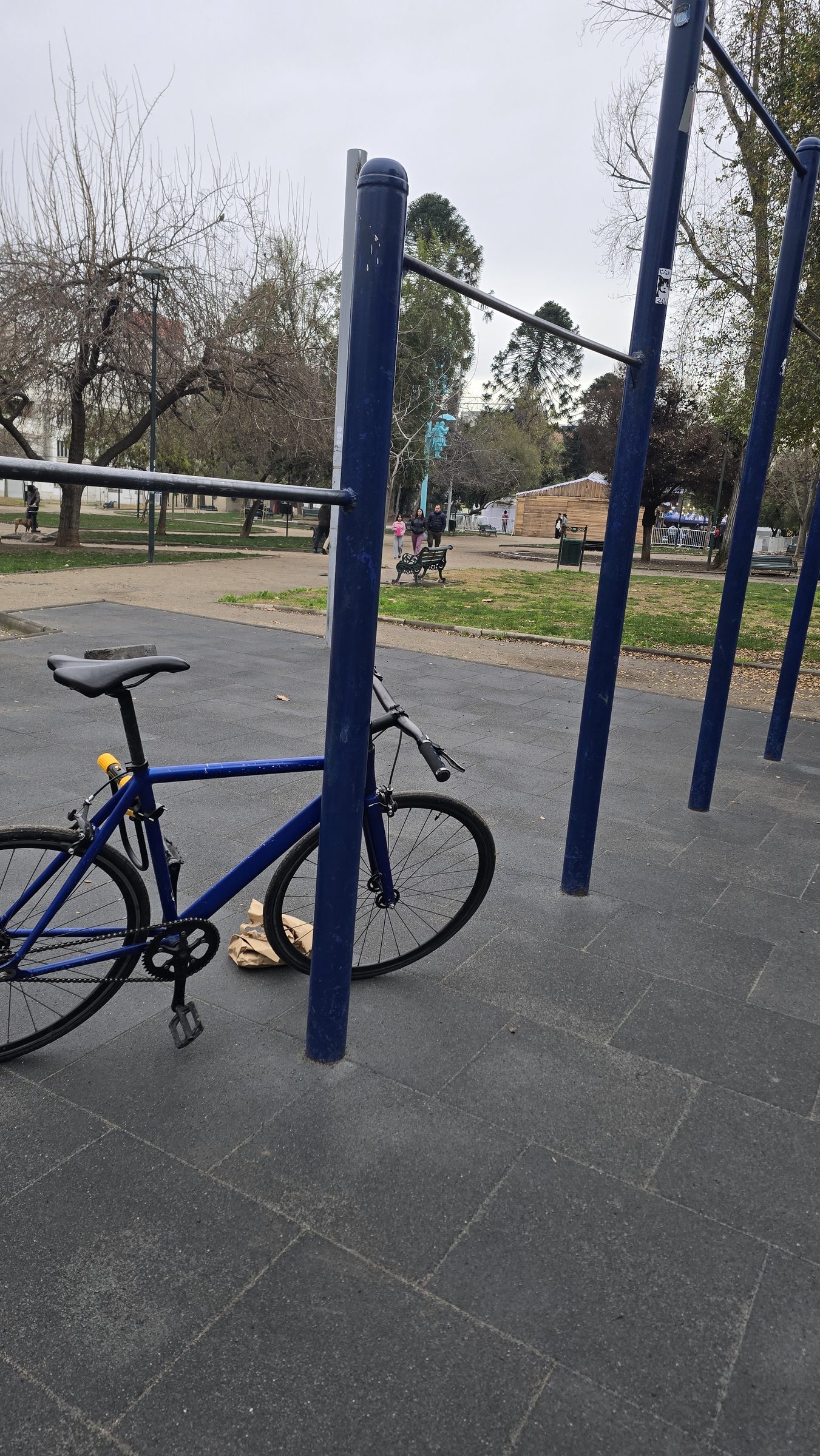 Una bicicleta azul apoyada en una barra metálica de un parque, con árboles y bancos al fondo