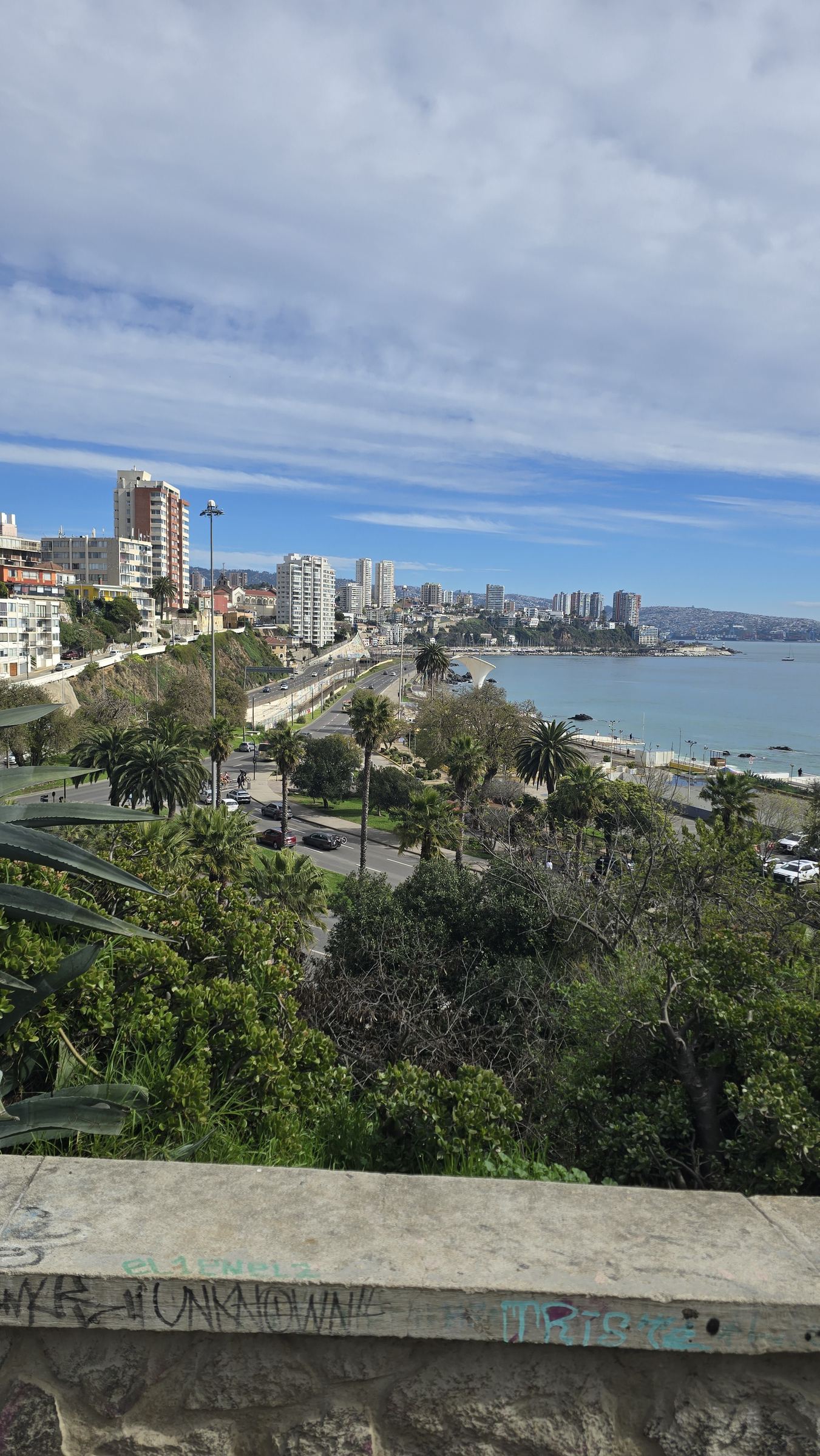 Edificios y palmeras junto al mar, en el paseo costero de Viña del Mar