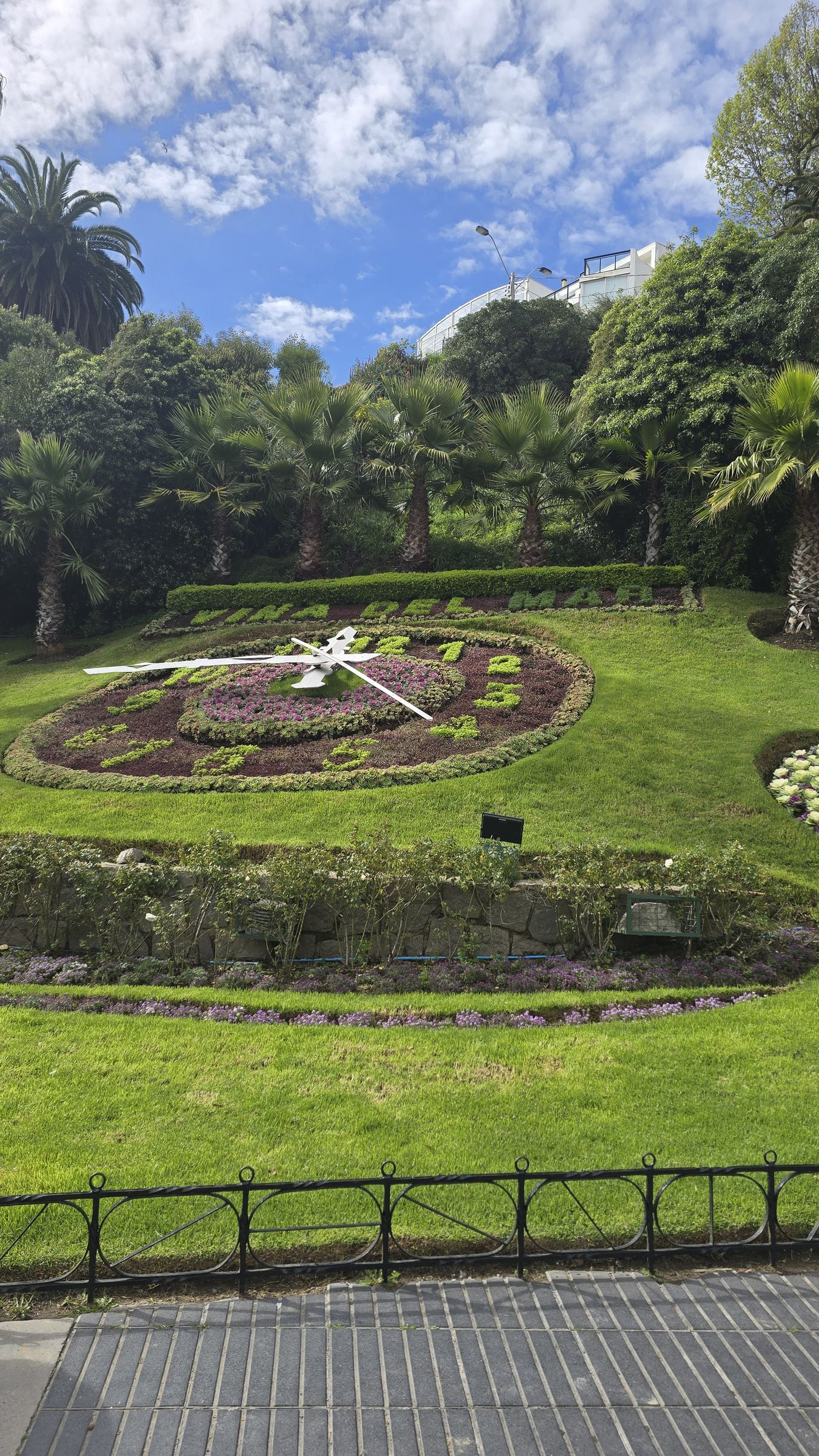 El reloj de flores de Viña del Mar, con palmeras alrededor